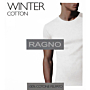 Maglia intimo uomo girocollo Ragno Tinta unita Bianco WINTER