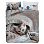 Completo copripiumino Bassetti Animali Beige WOOL CAT